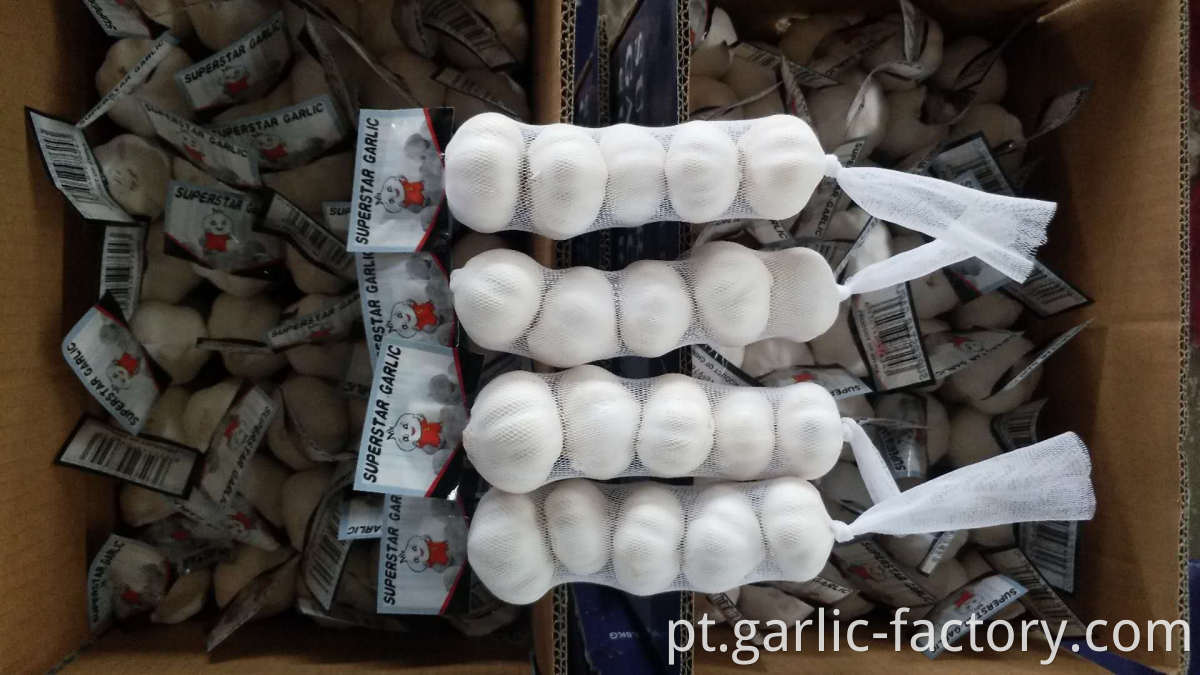 New crop garlic fresh garlic price